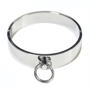 Stainless Steel Collar with Ring